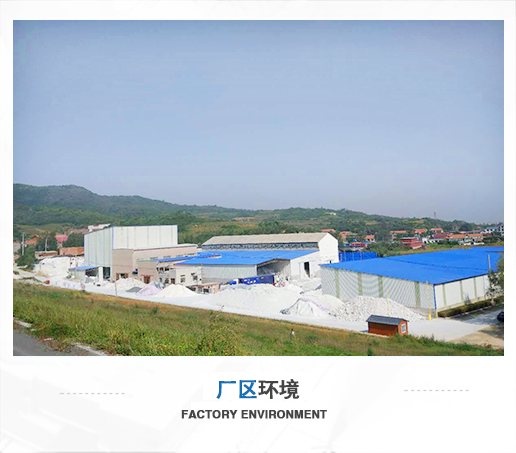 滑石粉廠(chǎng)家 滑石粉廠(chǎng)家